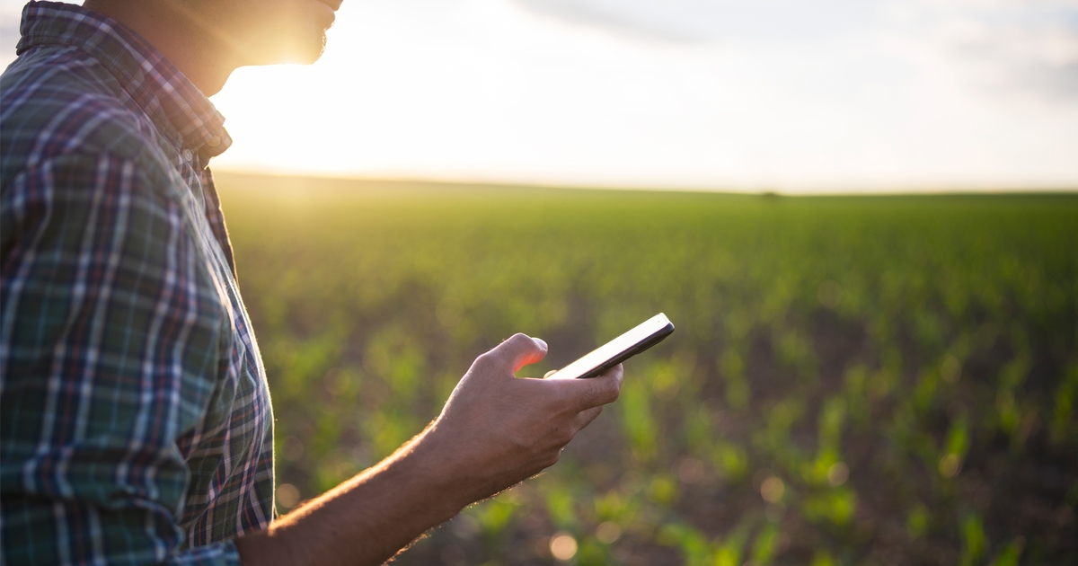 Agriculture Background